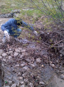 Social Media director, Craig Smith, cleaning up the pond area.