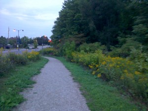 Trails through natural areas are designed to allow residents to enjoy the natural feature while minimizing disturbance to the feature.  