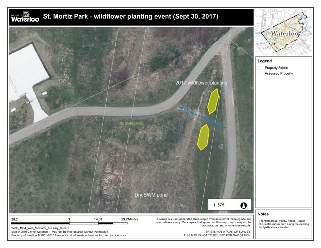 Map Aerial - 2017 wildflower planting St. Moritz